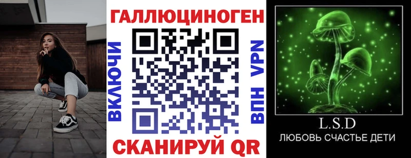 купить наркоту Славск Псилоцибиновые грибы мицелий